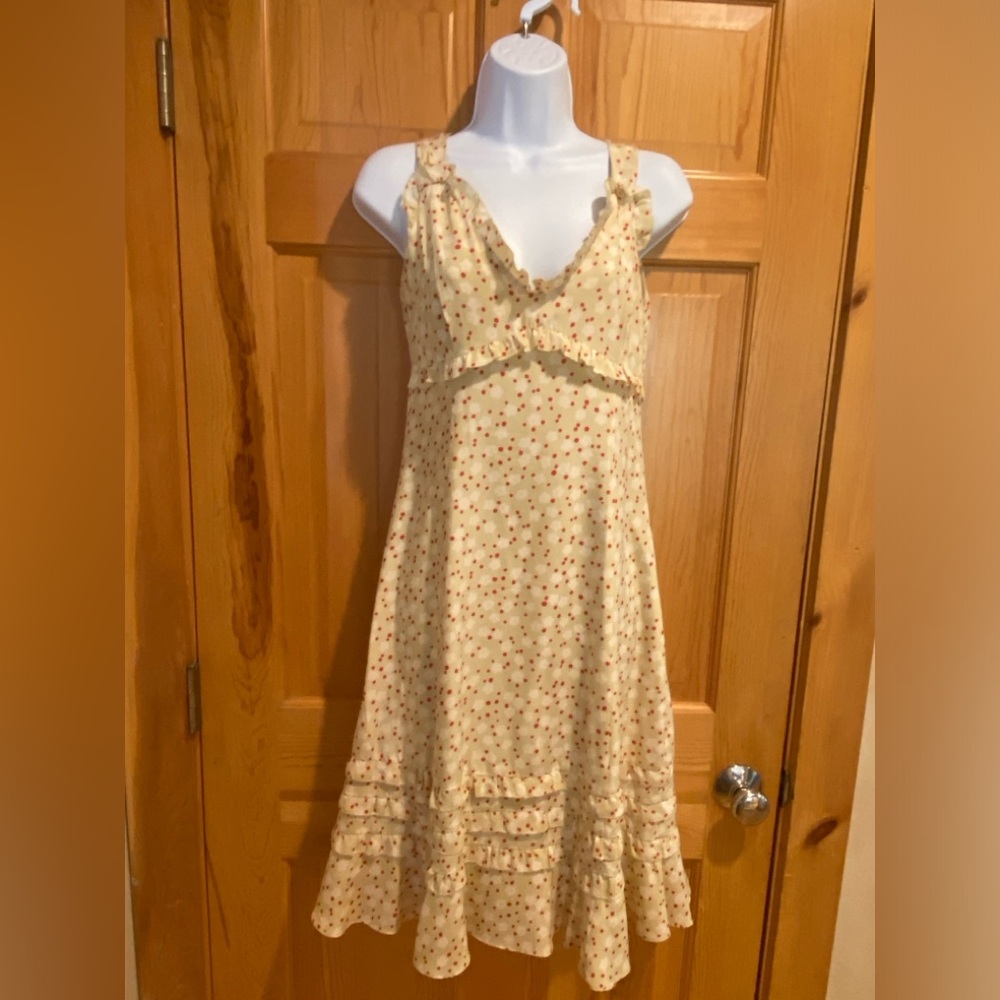 Anthropologie Floral Motif and Dotted Dress, size 2